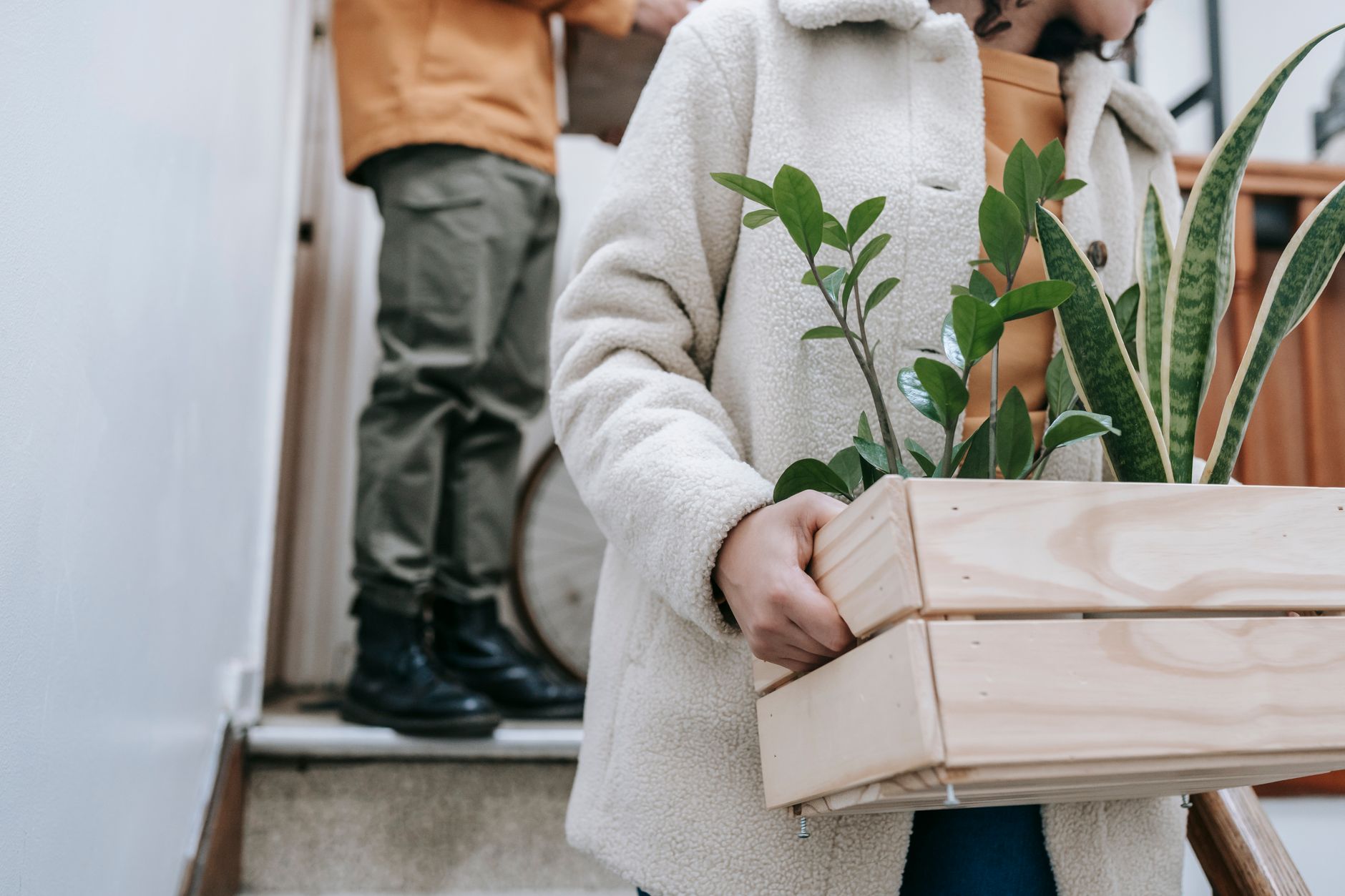 Sürdürülebilir paketleme malzemeleriyle taşınan bir ev